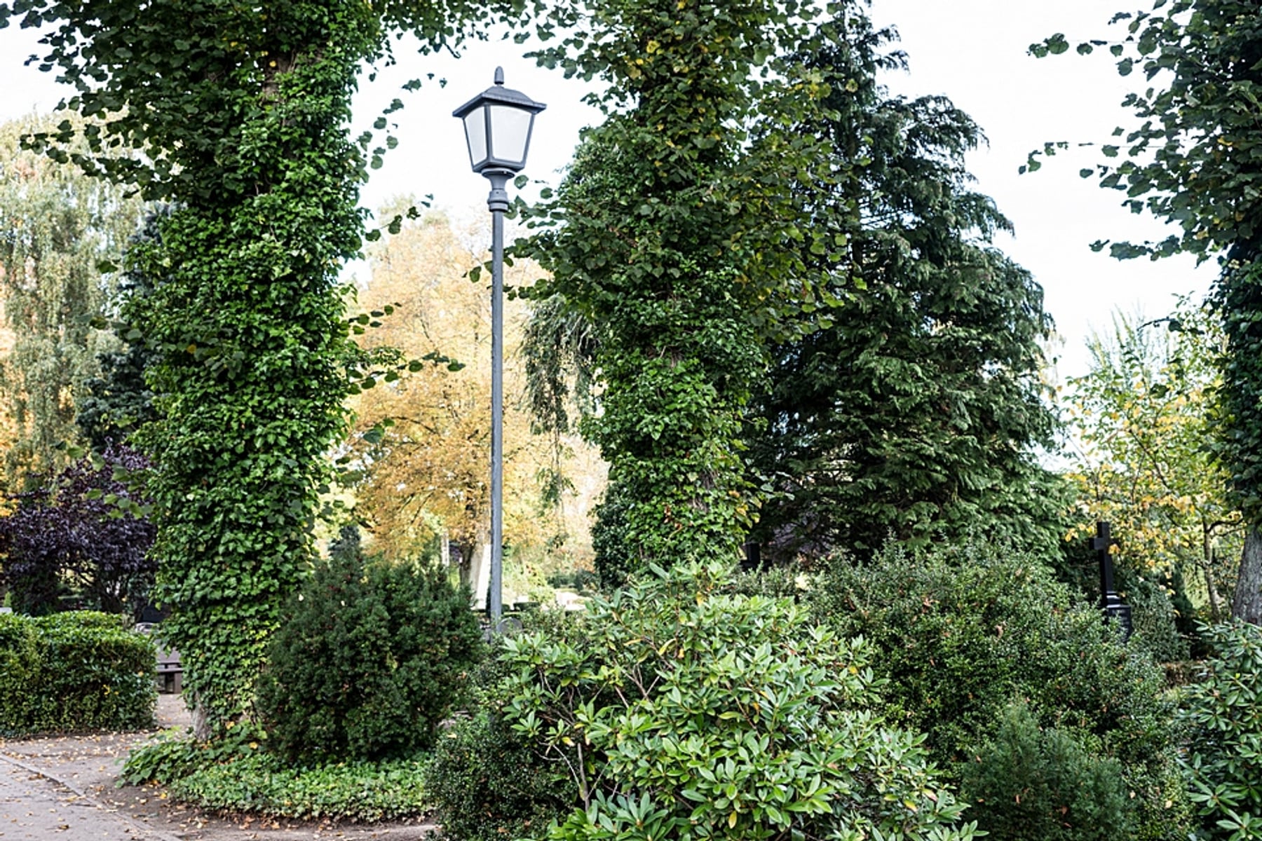 Straßenlaterne in Park mit Bäumen